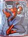 Marvel Spiderman Fleece Throw Blanket