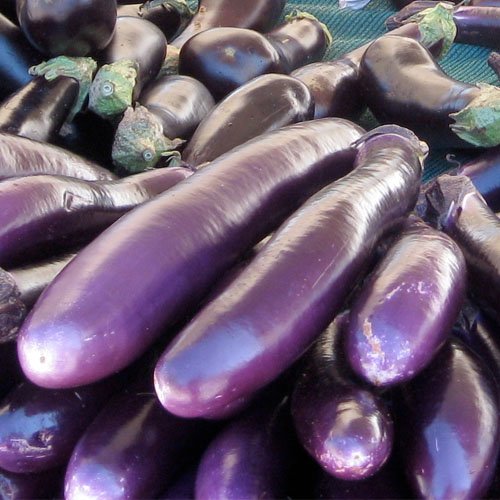 40 Seeds, Eggplant 