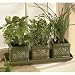 Deluxe Italian Country Kitchen Herb Garden Set with Organic Soil, Gift Set *Great Gift Idea*