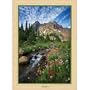 MasterPieces Beautiful Day 1000 Piece Puzzle Masters of Photography Series