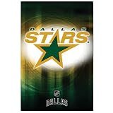 (22x34) Dallas Stars Logo 2010 Sports Poster Print