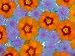 Floating Flowers in Glass Bowl, Blue Ageratum and Orange Blooms, Sammamish, Washington, USA Photographic Poster Print by Darrell Gulin, 24x32