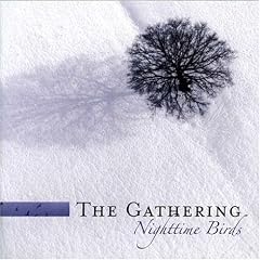 Nighttime Birds