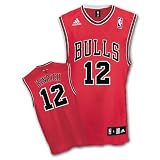 Chicago Bulls Kirk Hinrich Youth Replica Adidas NBA Jersey - size Youth Medium