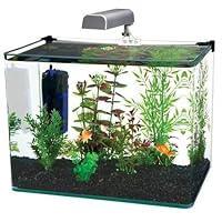 Penn Plax Curved Corner Glass Aquarium Kit, 10-Gallon