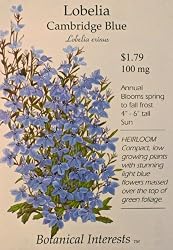 Lobelia Cambridge Blue Heirloom Seeds 400 Seeds