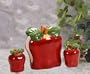 Red Apple Kitchen Napkin Holder Salt Pepper Shakers 3Pc