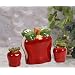 Red Apple Kitchen Napkin Holder Salt Pepper Shakers 3Pc