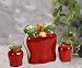 3 Piece ceramic Red Apple themed kitchen Tabletop Set Salt and Pepper shakers & Napkin Holder