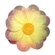 Sunshine Flower Wings