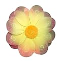 Sunshine Flower Wings