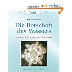 Die Botschaft des Wassers: Sensationelle Bilder von gefrorenen Wasserkristallen