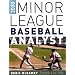 Minor League Baseball Analyst 2008