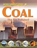 Coal : the big polluter?