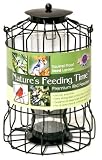 Nature's Feeding Time Squirrel Proof Seed Feeder Lantern, Black