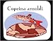 Mouse Pad with fish, aquarium