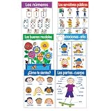 Spanish Basic Skills 6 Chart Pack