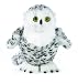 51y Yq2kC5L. SL75  Webkinz Plush Stuffed Animal Arctic Fox