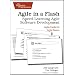 Agile in a Flash: Speed-Learning Agile Software Development (Pragmatic Programmers)
