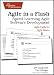 Agile in a Flash: Speed-Learning Agile Software Development (Pragmatic Programmers)