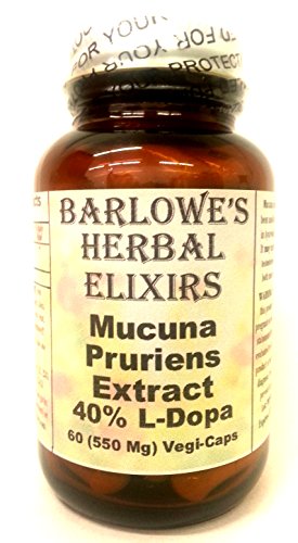 Mucuna Pruriens Extract - 40% L-Dopa - 60 550mg VegiCaps - Stearate Free, Bottled in Glass Mucuna Pruriens Extract - 40% L-Dopa - 60 550mg VegiCaps - Stearate Free, Bottled in Glass