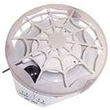 Panic Mouse Web Automated Cat Toy