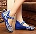 AvaCostume Women's Chinese Embroidery Casual Mary Jane Travel Walking Shoes Blue 40