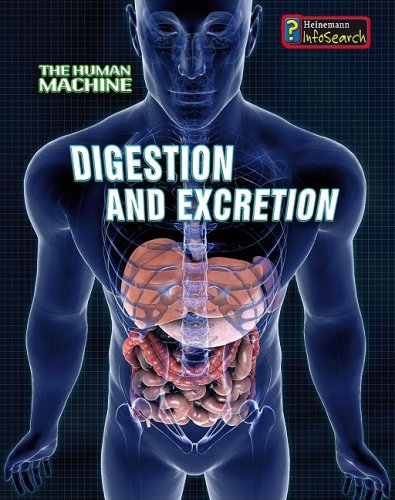 Digestion and Excretion (The Human Machine)