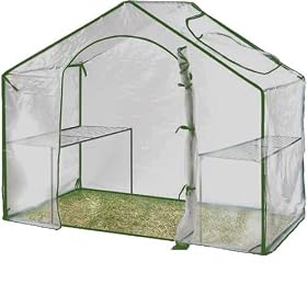 Extra Large 5x5ft Greenhouse Walk in with Window Plastic Cover & Steel Frame + 2 Shelves