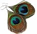 Peacock Feather Earrings