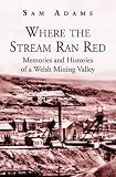 Where the Stream Ran Red : Memories and Histories of a Welsh Mining Valley