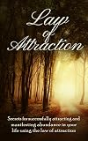 Law of Attraction: Secrets for Successfully Attracting and Manifesting Abundance in Your Life Using the Law of Attraction (Law of Attraction, The Secret, ... Visualization Techniques, Happiness)