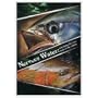 Nervous Waters DVD