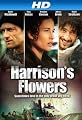 play video on Amazon Instant Video