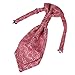 ERB1B04-06 Multicoloured Patterned Ascot Best Mens Microfiber Fashion By Epoint