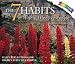 The 7 Habits of Highly Effective People 2008 Year-in-a-Box Calendar