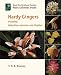 Hardy Gingers, Including Hedychium, Roscoea, and Zingiber