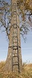 51y0nc72pxL. SL160  Buy Treestands Items