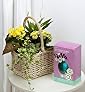 Easter Planted Basket with Egg