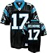 Men`s Carolina Panthers #17 Jake Delhomme Team Replica Jersey - M