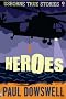 Heroes (Usborne True Stories)