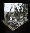 Talk to the Paw! Birthday Greeting Cards - We ARE smiling