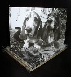 Talk to the Paw! Birthday Greeting Cards - We ARE smiling