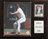 MLB San Francisco Giants Brian Wilson Player Plaque