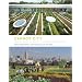Carrot City: Creating Places for Urban Agriculture