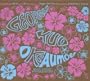 O Ke Aumoe: Night of the Hawaiian Slack Key Guitar