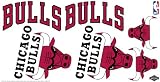 Skinit NBA Chicago Bulls Skinit Car Decals Medium - 49-by-25-Inch