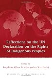 Reflections on the UN Declaration on the Rights of Indigenous Peoples