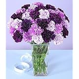 Carnations - Three Dozen Purple Carnations Flowers with Vase