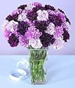 Carnations 